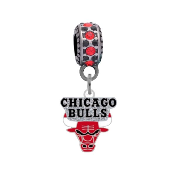 chicago-bulls-small