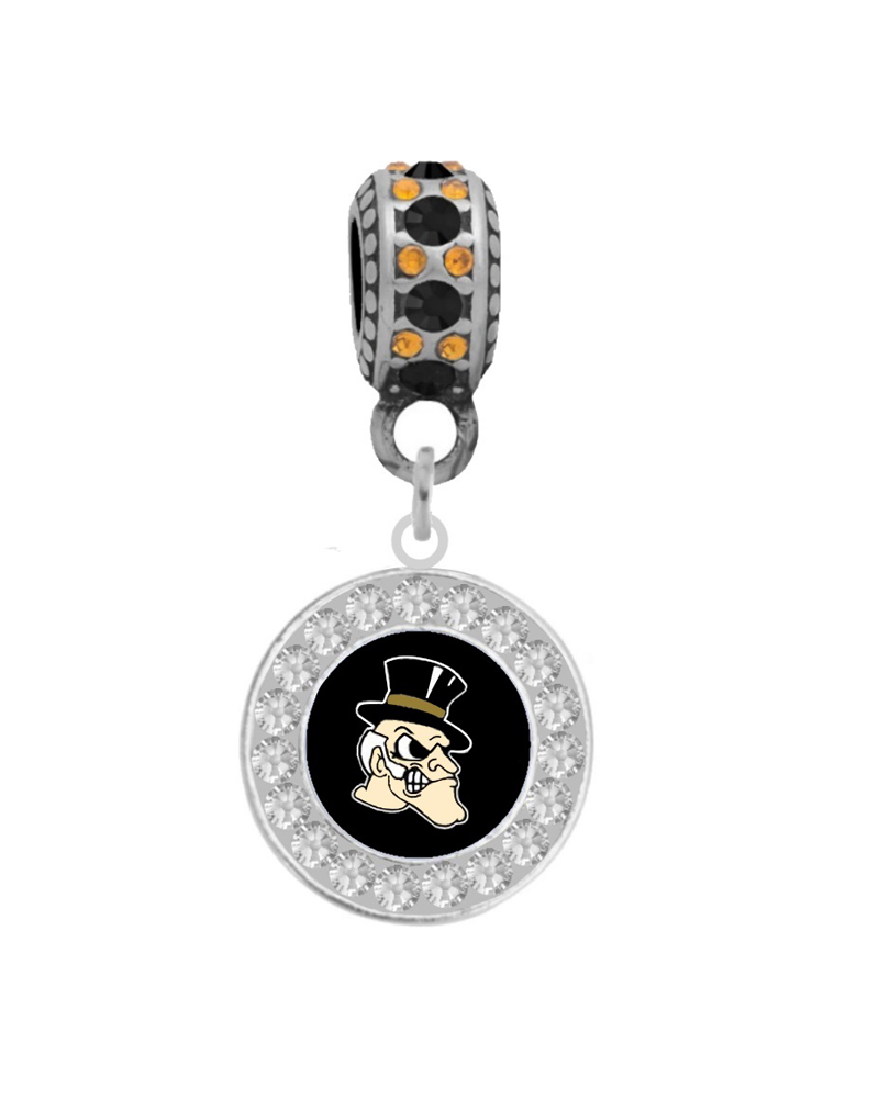 Final Touch Gifts University of Pittsburgh Crystal Charm 